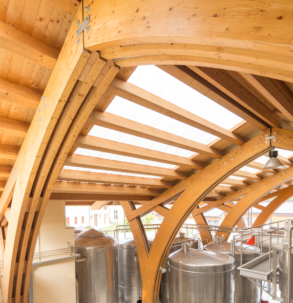 STRUTTURE-A-GEOMETRIA-SPECIALE