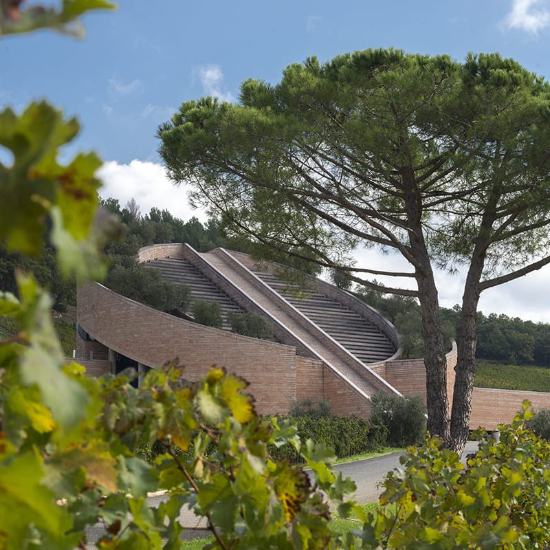 Petra, Suvereto, Livorno, Italia