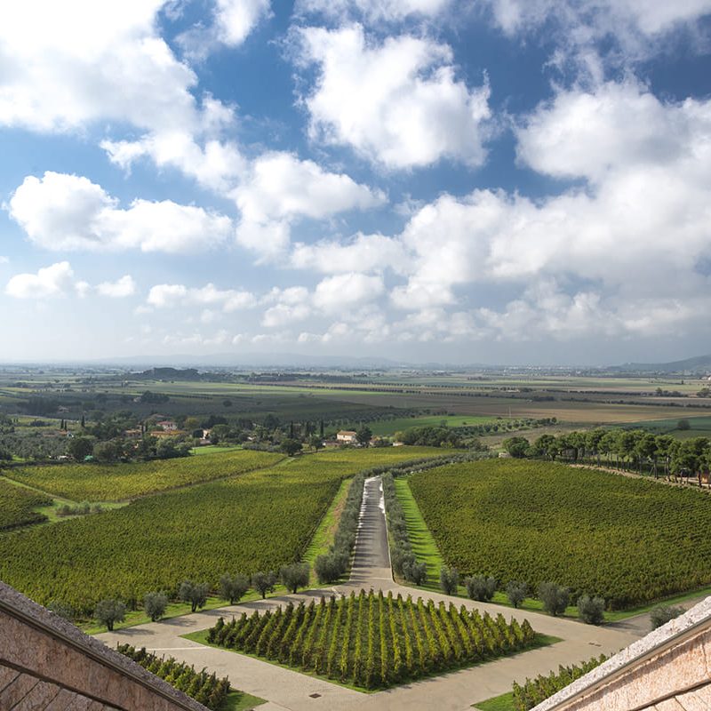 Petra, Suvereto, Livorno, Italia