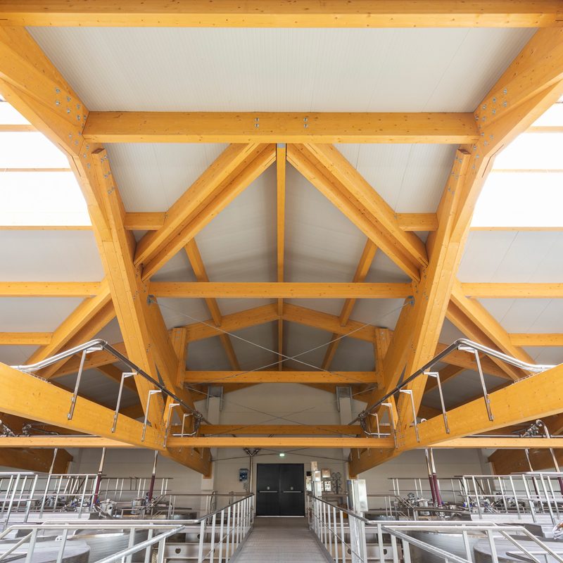 Tenuta Caseo, Località Caseo, Canevino, Pavia Italia