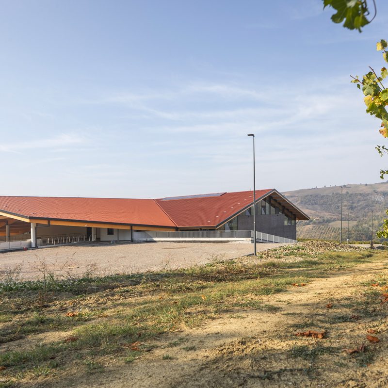 Tenuta Caseo, Località Caseo, Canevino, Pavia Italia